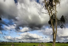 2024 U17亚洲杯预选赛直播在哪看？赛程、参赛队和看点全解析