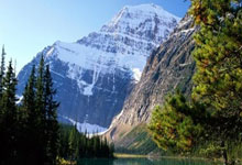 2024男足世界杯积分榜是怎样的？